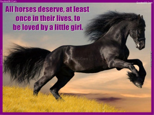 All horses deserve, at least once in their lives, to be loved by a ...