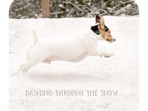 Christmas Quotes to Make You Feel Warm and Fuzzy