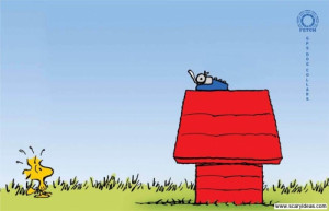 view original image )