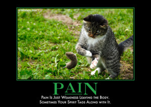 Pain is just weakness leaving the body. Sometimes your spirit tags ...