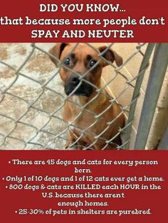 The Best Gift in Life is a Second Chance