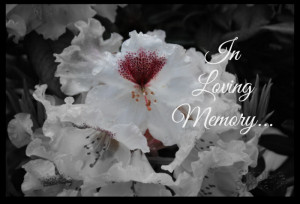 Our Free Online Sympathy Greeting Cards Memorial Day Poems and Quotes ...