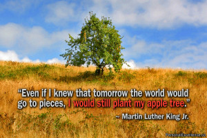 ... pieces, I would still plant my apple tree.” ~ Martin Luther King Jr