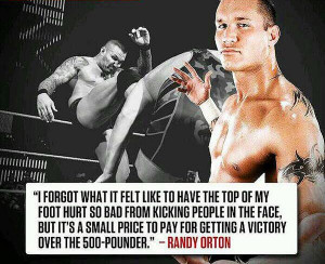WWE Wrestling Quotes