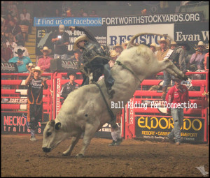 Tuff Hedeman Bull Rider