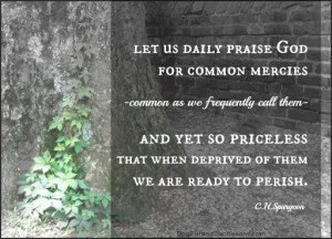 Let us daily praise God for common mercies...
