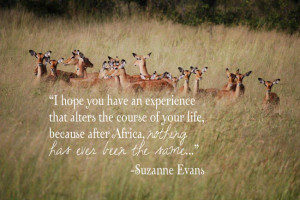 tell us your favorite travel quote or quote about africa on our ...