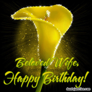 Happy Birthday to Wife Comments, Images, Graphics, Pictures for ...