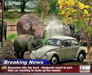 Elephant Car Washing hits the econonmy