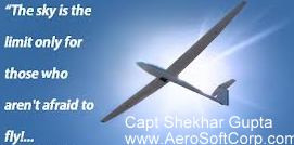 ... things that were designed by non pilots to get the pilot s attention