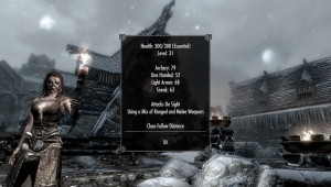 Enhanced Skyrim Followers