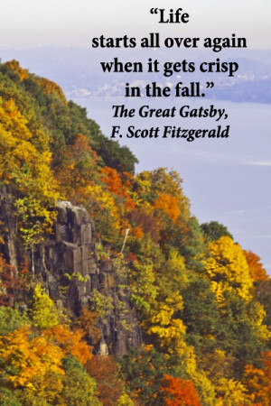 Life starts all over...The Great Gatsby