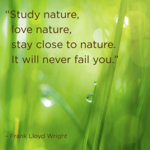 Study Nature...