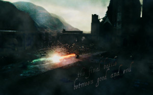 Harry Potter Harry & Voldemort in Deathly Hallows
