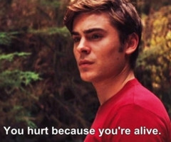 Copyright © 2015, Like Success, All rights reserved. Privacy, Terms ...