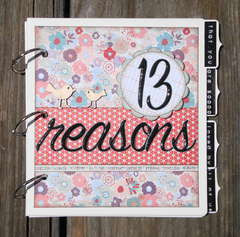 13 Reasons (SIG August '12)