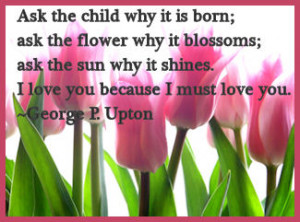 Cute Short Love Quotes and Simple Love Quotes