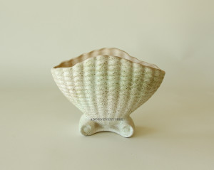 VV03 VV03 Cream Brown and Green Clam Shell