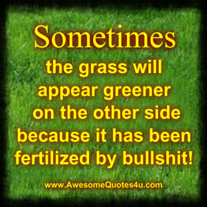 Sometimes the grass will appear greener on the other side