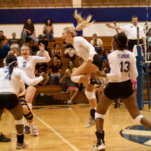 funny volleyball quotes from famous players hd wallpapers