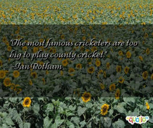 The most famous cricketers are too big to play county cricket. -Ian ...