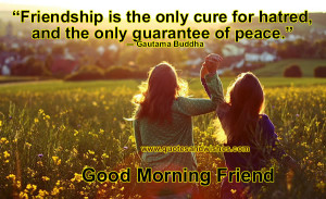 friendship is the only cure for hatred and the only guarantee for ...