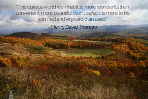 Showing Gallery For Nature Quotes Thoreau