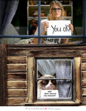 Quotes Leave Me Alone Grumpy Cat Funny Stalker