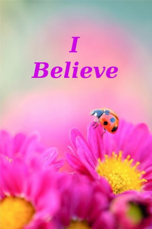 believe, belief, God, inspirational quotes, ladybug, ladybird ...