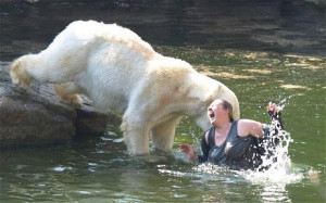 visitor to Berlin Zoo was mauled by a polar bear after taking the ...