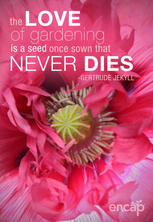 ... , Nature Quotes, Gardens Quotes, Gardening Quotes, Eye Catch Flowers