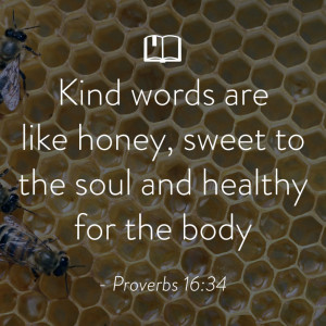 Kind words are like honey, sweet to the soul and healthy for the body ...