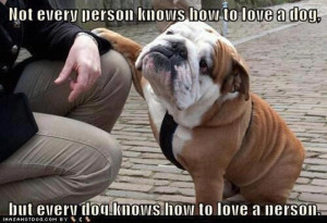 is “Adopt a Shelter Dog Month” celebrated Nationally by shelters ...