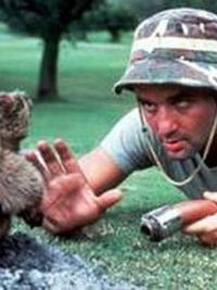 Carl Spackler Quotes from Caddyshack