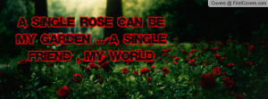single_rose_can_be-61478.jpg?i