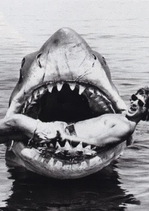 scary boys creepy follow back Grunge shark ocean