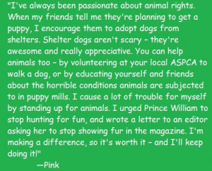 Pink and PETA Team Up to Reward Animal Lovers!