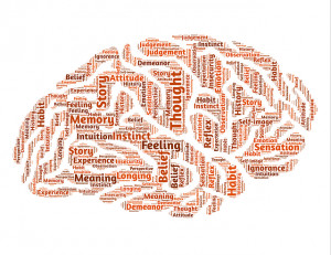 Brain, Mind, Mindset, Reality, Perception, Intelligence