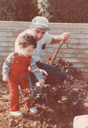 Click on Thumbnails to Enlarge)