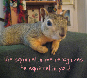 Be the squirrel you want to see in the world.