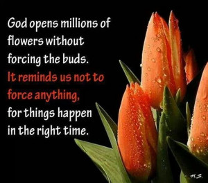 Pinned by Aliscia Cranford