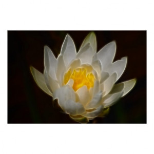 lotus_flower_and_meaning_poster-r76424508f1864f448f789c77c56d3d38_zucn ...