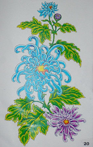 Jasmine Flower Wallpaper Wide