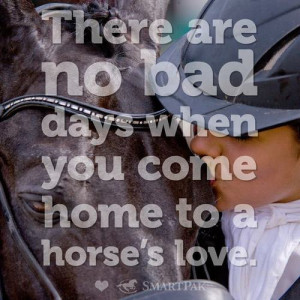 Horsey Quotes | via Tumblr
