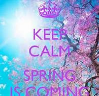 spring quotes and sayings - Bing Images