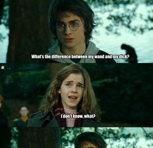 Harry Potter Hermione Meme