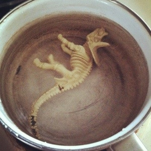 Random act of Awesome, step 2: Boil a toy dinosaur to get rid of germs ...