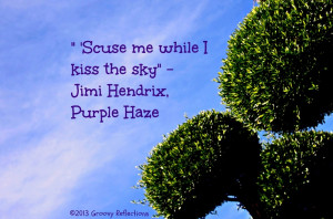 line from the Jimi Hendrix tune Purple Haze. He had a point ...