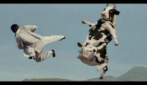 Kung Pow: Enter the Fist