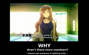 Gift Free Iwatobi Swim Club